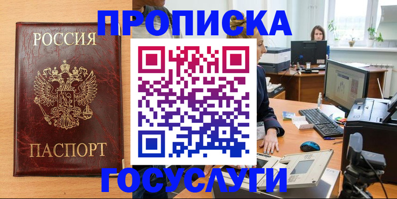 где прописаться в Мончегорске
